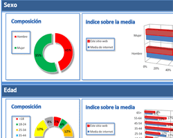 Estudio del perfil demográfico de los visitantes de una web